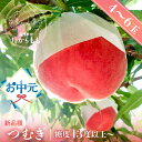 お中元 夏ギフト 桃【食べチョク 金賞受賞農家】 つむぎ 糖度13度以上 4-6玉 桃ギフト 贈答用 甘い 柔らかい 新品種 特上 朝採れ 飛騨のたから桃 白桃 甘くてジューシーな モモ 高級 産地直送 ギフト 飛騨高山