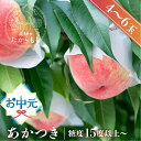 お中元 夏ギフト 桃 【食べチョク 金賞受賞農家】 あかつき 糖度15度以上 4-6玉 桃ギフト 贈答用 甘い 柔らかい 新品種 特上 朝採れ 飛騨のたから桃 白桃 甘くてジューシーな モモ 高級 産地直送 ギフト 飛騨高山
