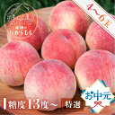 お中元 夏ギフト 桃 【食べチョク 金賞受賞農家】糖度13度以上 4-6玉 桃ギフト 贈答用 最高級 甘い 柔らかい 品種 飛騨のたから桃 白桃 特選 朝採れ 高級 ギフト 品種お任せ ( 日川白鳳 みさか白鳳 白鳳 あかつき 昭和白桃 川中島白桃 ) つむぎ果樹園