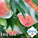 お中元 夏ギフト 桃【食べチョク 金賞受賞農家】糖度11度~ 4-6玉 小箱 桃ギフト 贈答 甘い 柔らかい 飛騨のたから桃 朝採れ 白桃 もも モモ 夏ギフト 自宅用 品種お任せ 日川白鳳 みさか白鳳 白鳳 あかつき 昭和白桃 川中島白桃 つむぎ果樹園 高級 特秀