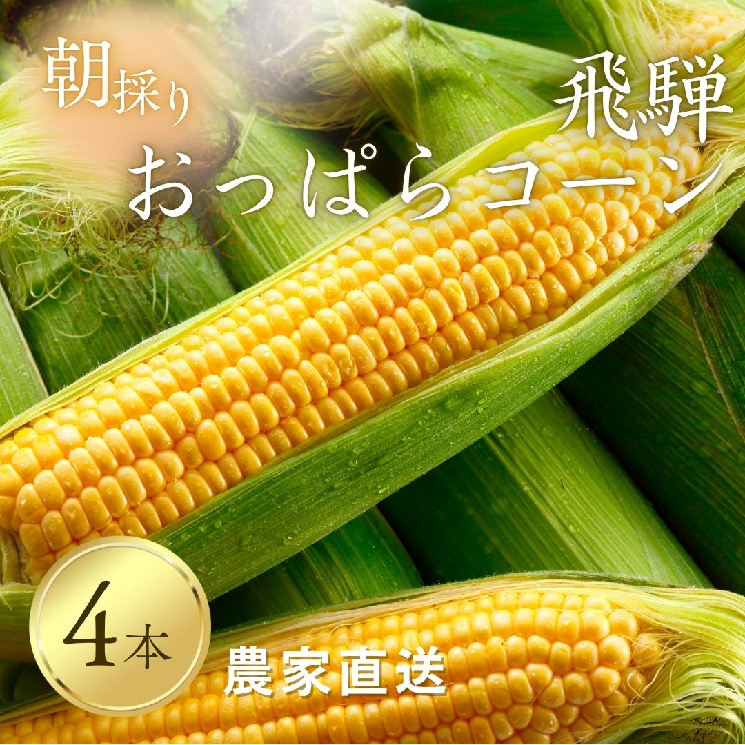 Rakuten - 【予約受付中】朝採れ 国産 飛騨 おっぱらコーン 4本 とうもろこし 糖度16度以上 朝採れ ゴールドラッシュ 農家直送 ひさむら農園 飛騨 旬野菜 産地直送 夏野菜 旬の贈り物 バーベキュー 高冷地 おうちごはん 8月上旬より順次発送