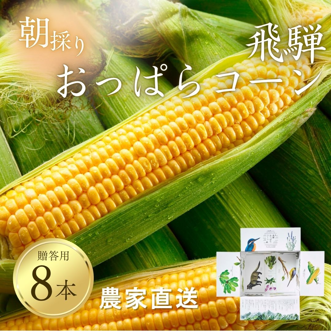 Rakuten - 【予約受付中】朝採れ 国産 飛騨 おっぱらコーン 8本 とうもろこし 糖度16度以上 朝採れ ゴールドラッシュ 農家直送 ひさむら農園 飛騨 旬野菜 産地直送 夏野菜 旬の贈り物 バーベキュー 高冷地 おうちごはん 8月上旬より順次発送