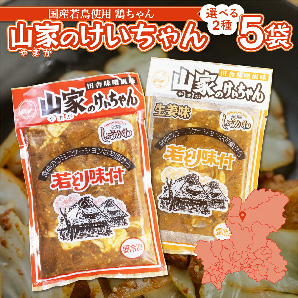 鶏ちゃん 岐阜 山家 けいちゃん 5袋 セット (1袋 2人前) 国産 鶏肉 選べる2種類 にんにく しょうが ケ..