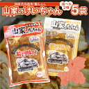 鶏ちゃん 岐阜 山家 けいちゃん 5袋 セット (1袋 2人前) 国産 鶏肉 選べる2種類 にんにく しょうが ケイちゃん 味つけ肉 惣菜 お土産 冷凍