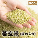 金賞農家の飛騨産 若玄米 ( 緑色玄米 ) 　青米 900g 1袋 青玄米 青の玄米 玄米 健康米 飛騨の米 米 みつわ農園 農家直送 送料無料 令和5年産