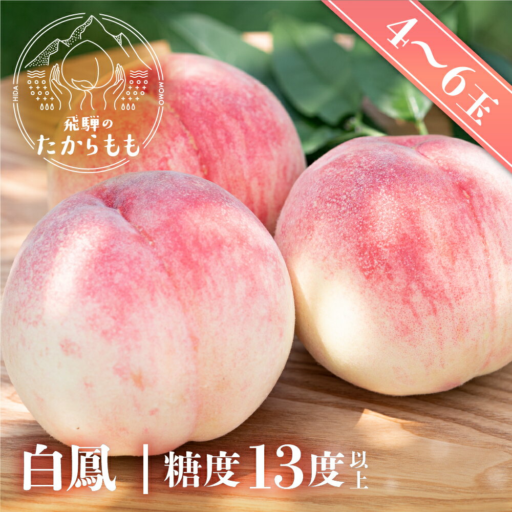 ＼エントリー★全品ポイント10倍／ 【予約受付中】白鳳 糖度13度以上 4-6玉 【食べチョク 金賞受賞農家】 桃ギフト 贈答用 甘い 柔らか..