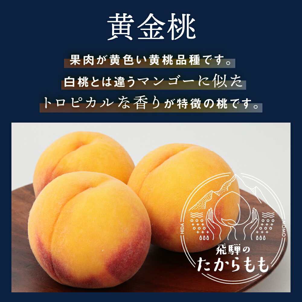 【予約受付中】 黄金桃 糖度13度以上 4−6玉【食べチョク 金賞受賞農家】 黄肉品種 ...
