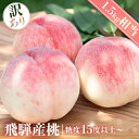 訳あり 桃 糖度15度以上 1.5kg 飛騨産 もも 甘い 柔らかい 品種 朝採れ 白桃 モモ 産地直送 ギフト 飛騨高山 訳アリ フードロス