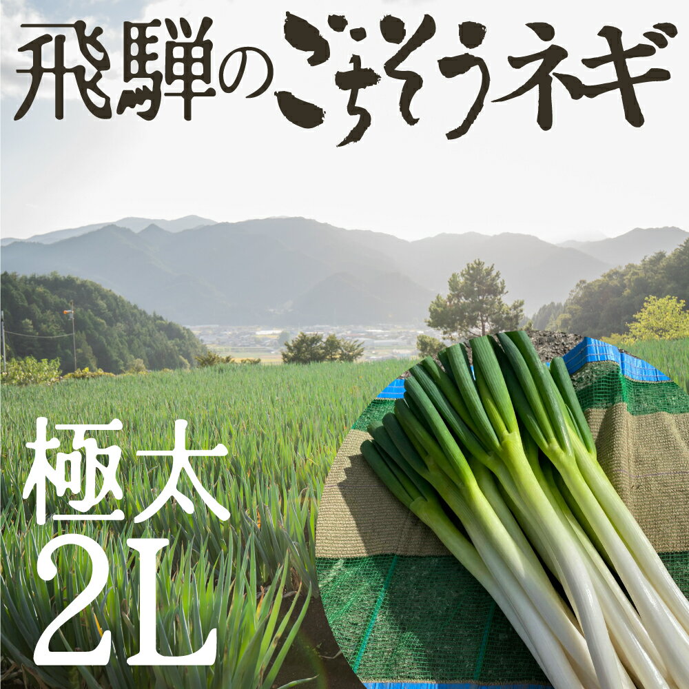 極太 飛騨のごちそうネギ 2L 3kg 約15〜17本 旬の野菜 希少品種 旬野菜 秋野菜 冬野菜 水村農園 岐阜県産 産地直送 産直 農家直送 白ネギ 白ねぎ 根深ネギ