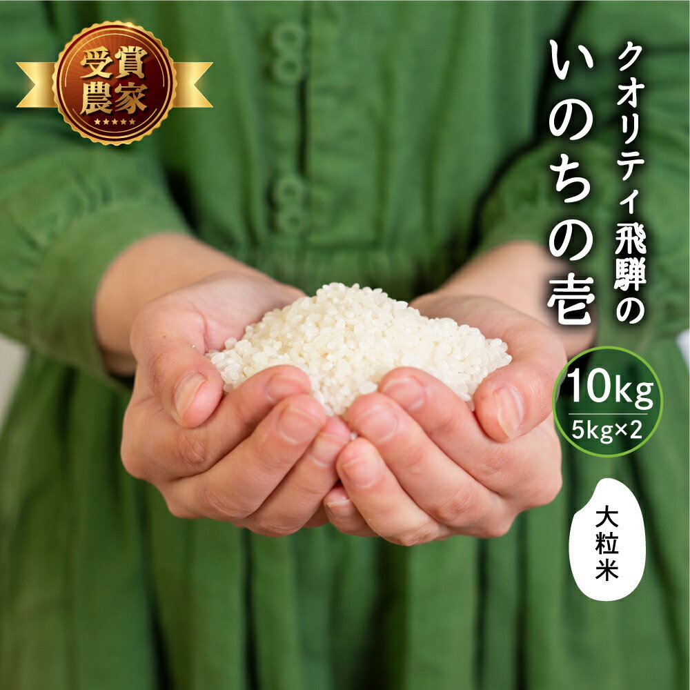 飛騨産 いのちの壱 5kg×2袋 10kg 白米 飛騨の米 米 美味しい クオリティ飛騨 送料無料 単一原料米 農家直送 ご飯のお供 お取り寄せ セット