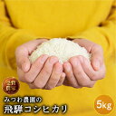 令和5年産 5kg 飛騨産 コシヒカリ 5kg 白米 精白米 飛騨の米 米 みつわ農園 こしひかり 美味しい 送料無料 単一原料米 農家直送