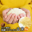 【令和7年度産 新米 予約(2025年11月下旬~発送)】玄米 金賞農家の飛騨産 コシヒカリ 玄米 5kg / 10kg 米 飛騨の米 米 みつわ農園 こしひかり 送料無料 単一原料米 農家直送