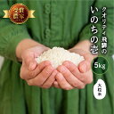 令和5年度産 お米 いのちの壱 5kg 白米 送料無料 精白米 飛騨産 飛騨の米 米 美味しい クオリティ飛騨 単一原料米 農家直送 お取り寄せ