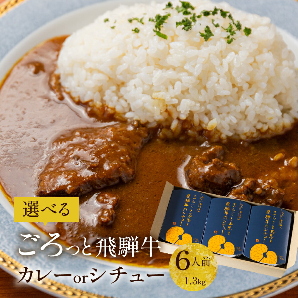 飛騨牛 カレー 詰め合わせ ギフト セット 6人前 レトルト ビーフカレー ビーフシチュー 3個 高級 お肉 ゴロゴロ 黒毛和牛 牛肉 国産 ブランド肉 40代 50代 60代 70代 80代 グルメ 食べ物 飛騨高山