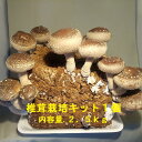 国産 しいたけ粉末 350g [栽培期間中農薬・化学肥料不使用] 食物繊維豊富 原木椎茸使用 [02] NICHIGA(ニチガ)