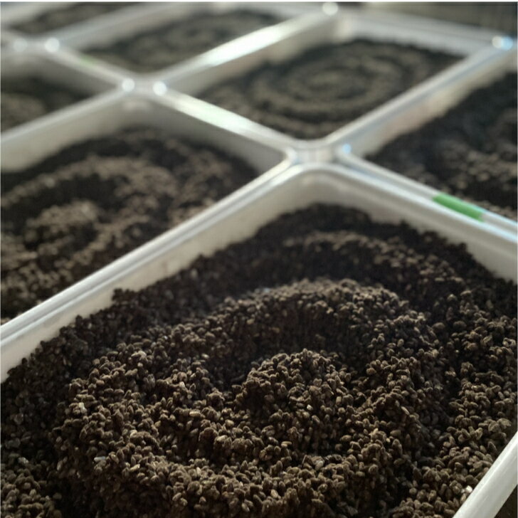 ������̵����̵ź�ù�����������500g�����4��(2kg)�����ѡ������ͤ��������������ͤ������ڹ����ۡ����� �����ơ����ͤ���̣�������ƻ��ѡ���Ť�����������ż�ˡ���ȯ�ڡ����ǡ�������� ��Ĳ�衡��ϫ�����������󥱥��������ˤ⡡�Ż��äѤ����ʤˤʤ롪����²�η�