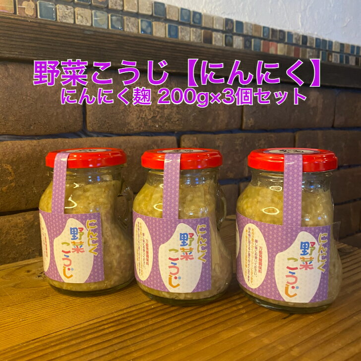 【送料無料】にんにく麹　飛騨こうじ織勢　野菜こうじ【にんにく】200g×3個セット　にんにくの入った塩..