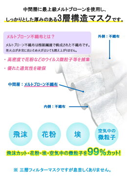 送料無料 無菌室製作 殺菌処理済 メディカルマスク 三層構造 マスク メルトブローン 耳が痛くならない ソフトゴム使用 使い捨て サージカルマスク ウィルス かぜ 花粉 PM2.5対策 蒸れ防止 使い捨てマスク 普通サイズ レギュラーサイズ 100枚 50枚x2箱