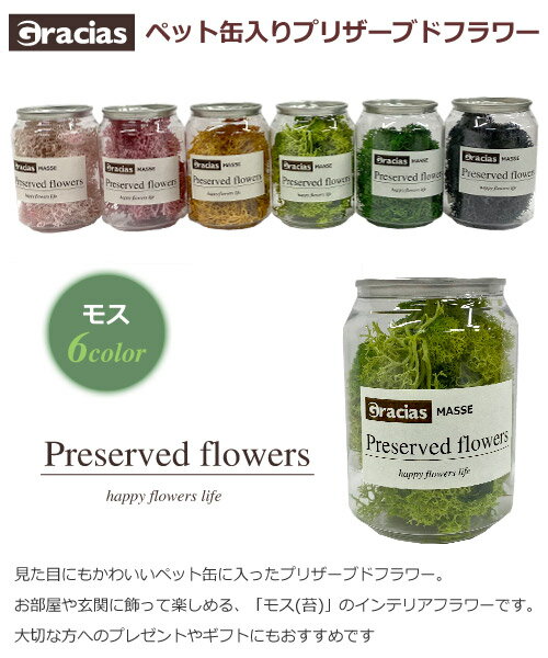 【特価販売中】gracias 観賞用 モス プリザーブドフラワー ペット缶入り おもしろい かわいい ペット缶 ミニボトル インテリアフラワー インテリア 苔 こけ コケ お祝い 母の日 誕生日 ギフト プレゼント 6色 1個入り