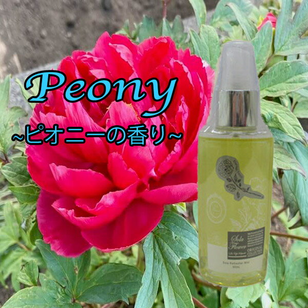 ���ò�������ۥե� ����ե� �ɥ饤�ե� ���ꥢ �ԥ��ˡ� ��ե�å��㡼�ߥ����դ� ��� ���� �� �� £��ʪ ������ �Х�󥿥��� �ץ쥼��� ���ե� ¤�� �ץꥶ���ɥե� �ʥ����� �ܥ��˥��� £��ʪ �ɳݤ� �֤��� ˧��� �ȥ���