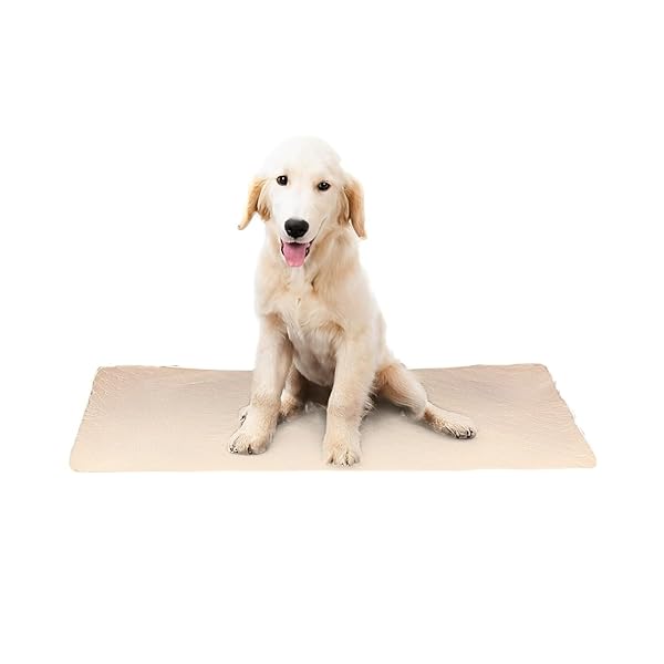 Rakuten - [ペロハウス] 大判 洗える サラサラ ペットシーツ 大型犬 OK 犬 猫 ペット用 トイレ下敷きマッ