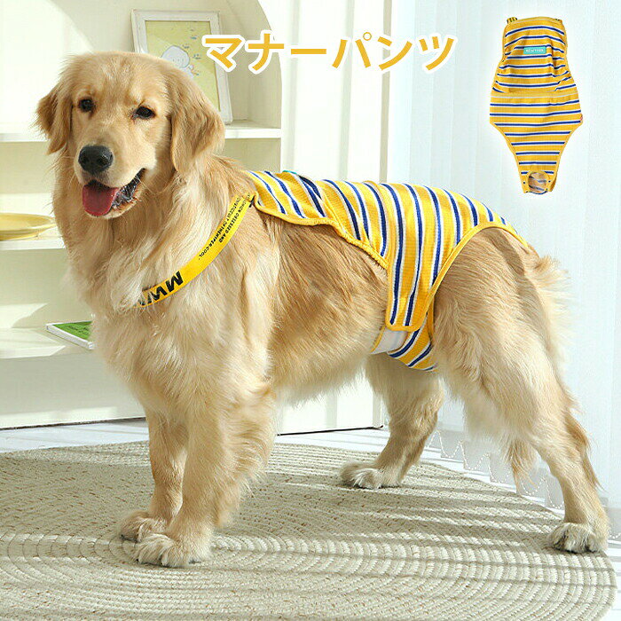 商品名：マナーパンツ素　材:ポリエステルカラー：イエロー、グリーンサイズ:S/M/L/XL実寸は平置きサイズです。2-3CMの誤差やタグ表記と異なる場合はご了承ください。生産国：中国（日本人スタッフによる安心の検品体制）【注意事項】サイズは測定方法によって、若干の誤差がある場合がございます。商品のお色は、照明、モニターの発色の具合により、実物と多少の違いことがございます。ご了承ください。モデル写真に使用されているアクセサリー小物は別途記載が無い限り付属いたしません。返品キャンセルなどの対応期間は商品到着後7日以内でございます。送料無料の場合は北海道/鹿児島/沖縄/離島への発送には別途追加送料が必要です。ご注文時には追加送料は加算されておりません。商品の品質には万全を期しておりますが、万が一、不良破損誤納品発送漏れなどがございましたら、メールやお電話で遠慮なくお申し付けください。連絡せず、ショップレビューに悪い評価をつけることをお控えようお願い致します。