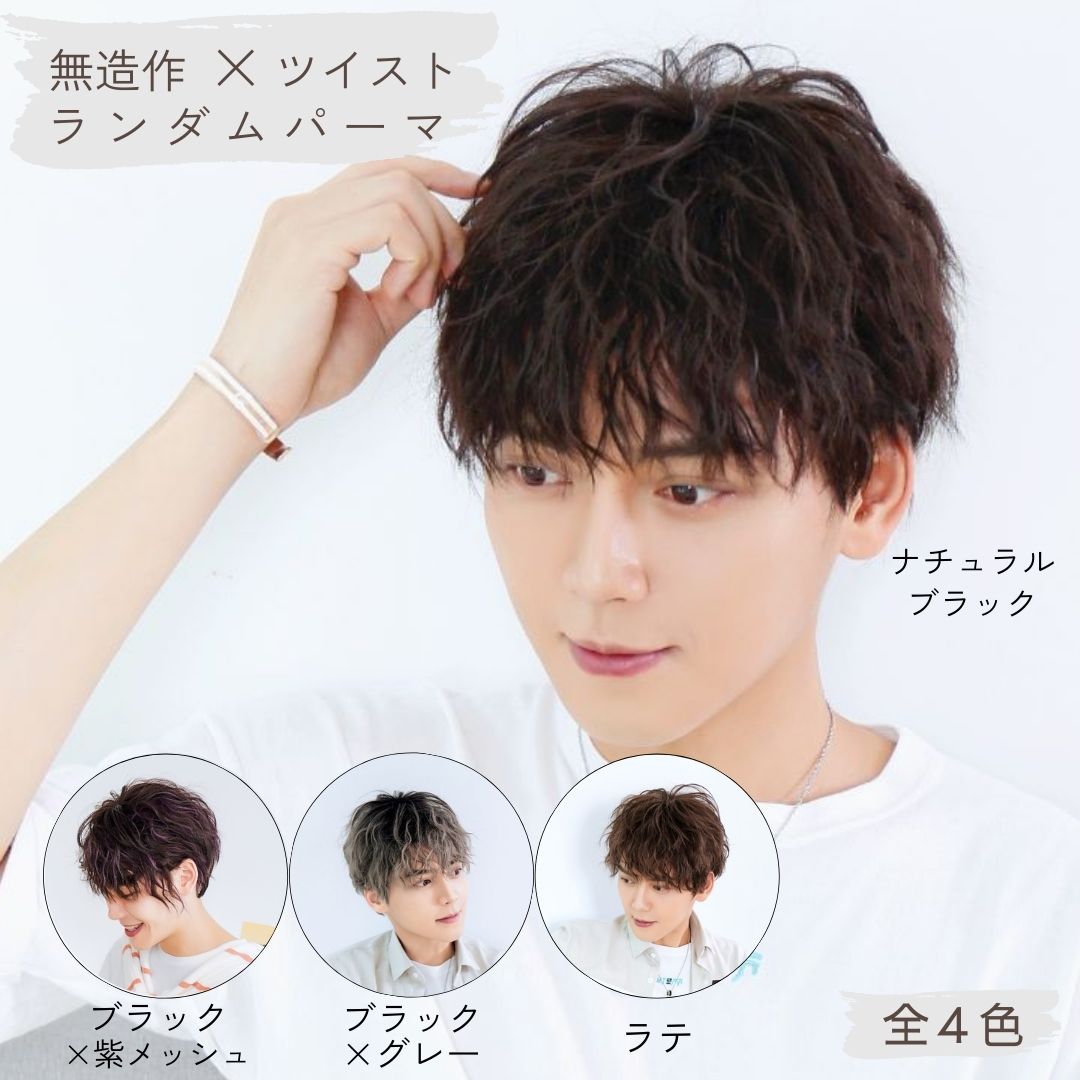 TefuRe ウィッグ メンズ 普段使い バレない 自然 おしゃれ パーマ ツイスト メッシュ グラデーション ヘアカラー イメチェン ナチュラルブラック ラテ ブラウン グレー パープル 紫 ネット付き 洗える 簡単 コスプレ 耐熱 ダムパ ランダムパーマ テフリ
