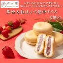 章姫&紅ほっぺ最中アイス 6個入 アイスクリーム モナカアイス モナカ スイーツ 中津川市之瀬 ギフト セット 人気 いちご 苺 ストロベリー ドリームジャパン