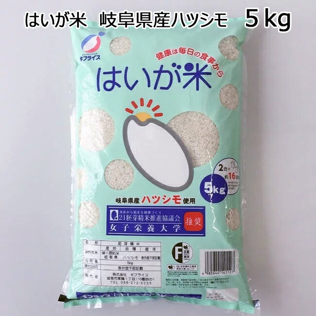 【令和5年 新米】はいが 胚芽 岐阜 ハツシモ 5kg 送料無料 岐阜県産