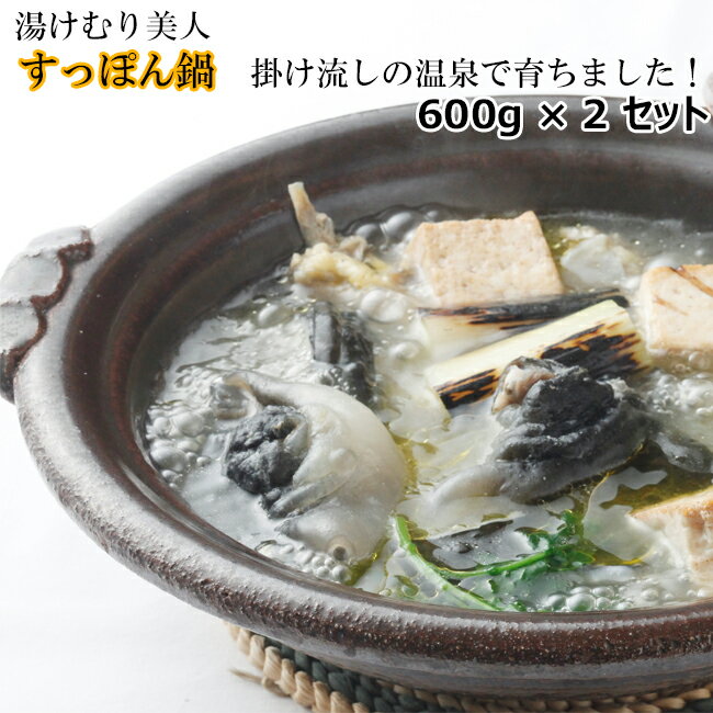 すっぽん鍋 600g(1人前)を2セット 鍋で暖めるだけ ギフト プレゼント 焼岳 すっぽん 焼岳すっぽん 湯けむり美人 飛騨 高山 満天 青空レストラン