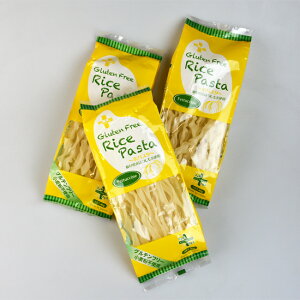 プラス グルテンフリー 米粉パスタ フェットゥッチーネ 80g （1食分） 3個セット フェットチーネ 乾麺 GIAHS 岐阜