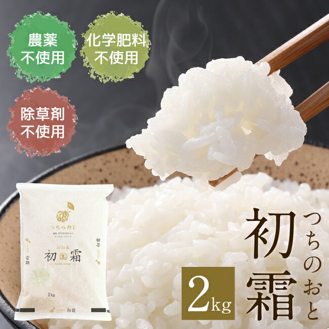 令和4年産 ヨコチュー 岐阜県産ハツシモ つちのおと 2kg 岐阜の清流で育った美味...