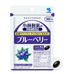 小林製薬 ブルーベリー 60粒【送料無料】