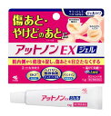 【第2類医薬品】小林製薬 アットノン EX ジェル 15g【送料無料】傷あと