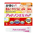 【第2類医薬品】小林製薬 アットノン EX プラス 10g 2個セット【送料無料】傷あと
