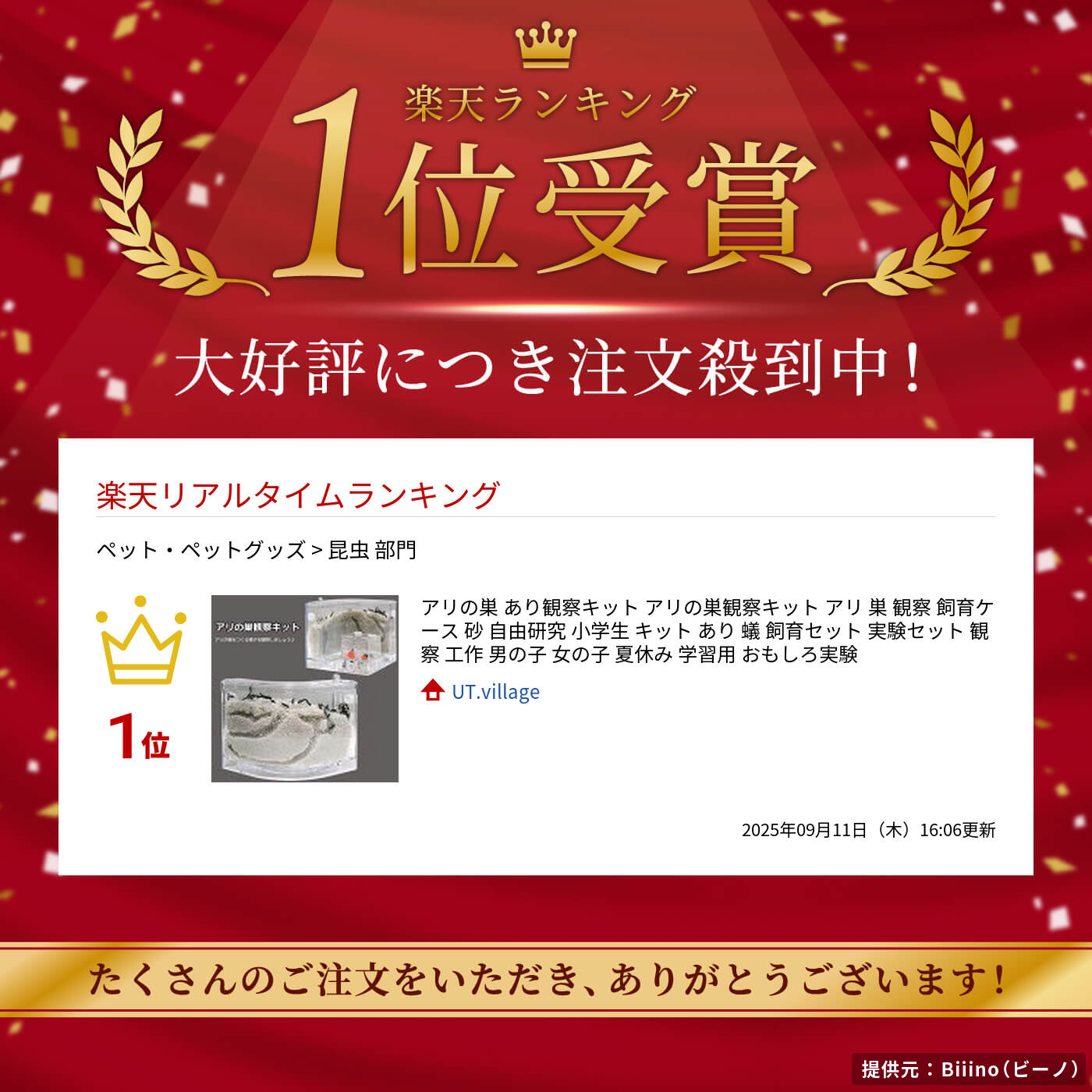 アリの巣 あり観察キット アリの巣観察キット アリ 巣 観察 飼育ケース 砂 自由研...