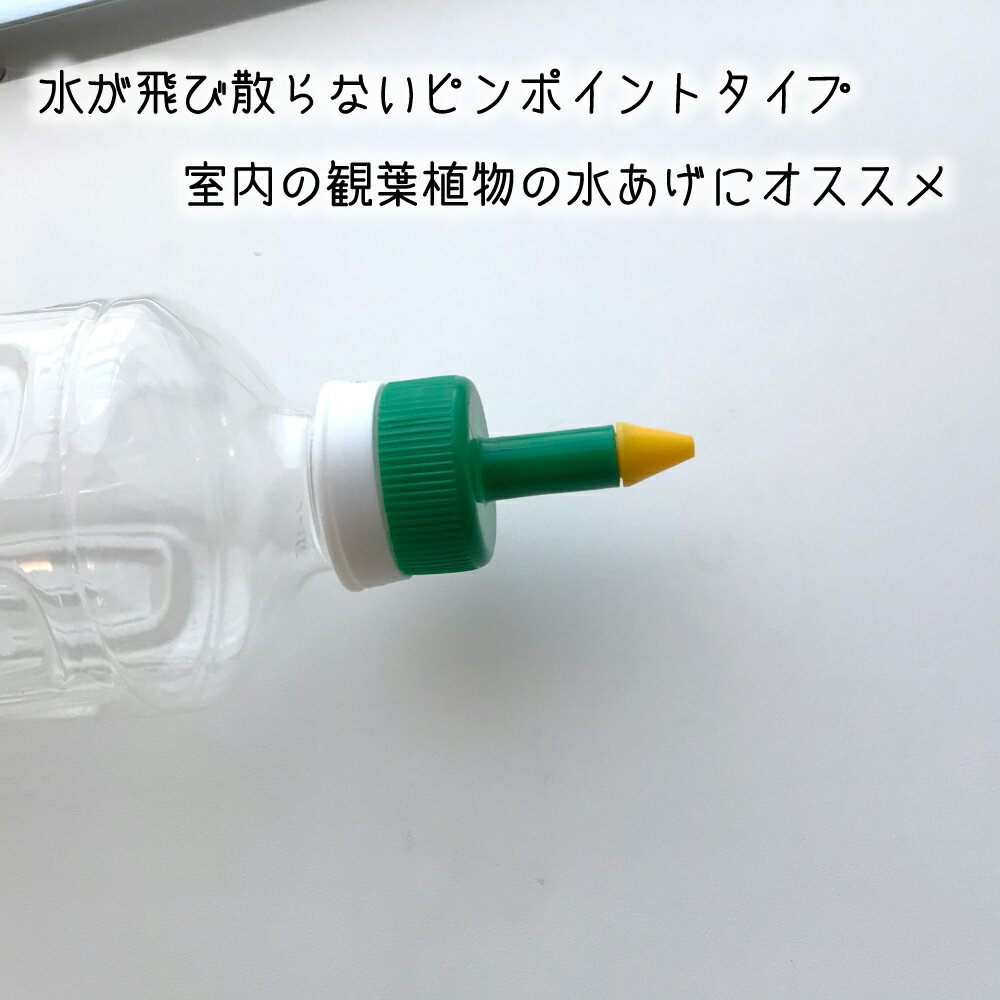 �ڥåȥܥȥ� �ʰץ��硼�� ����å� �������å� ���� ���⤷�� ������ ���ꥸ�ʥ� ����դ� ���� ���տ�ʪ �夢�� �� �ڥåȥܥȥ른�硼�� (�ԥ�ݥ���ȥ�����)