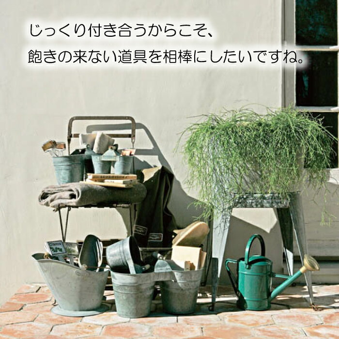 �����ǥ�ե����� �����ǥ˥� �ġ��� ���� ���ƥ�쥹 ������� ��� ƻ�� ���� �ǥ����� ���ե� �ץ쥼��� �������å� �� youtube HAND FORK BOTANY �� ����ȥ� DULTON �ϥ�ɥե����� [CH14-G511]