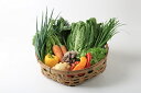 おとなりさんち 旬の野菜 ボックス Sサイズ 約8~10品旬野菜 お野菜セット 有機野菜セット ギフト 野菜セット 無農薬 一人暮らし 野菜 セット 農家 直送...