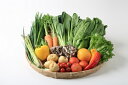 おとなりさんち 旬の野菜 ボックス Mサイズ 約10~12品無農薬 野菜セット 一人暮らし ギフト 無農薬野菜セット 野菜 セット 農家 直送 浜松 八百屋 お...
