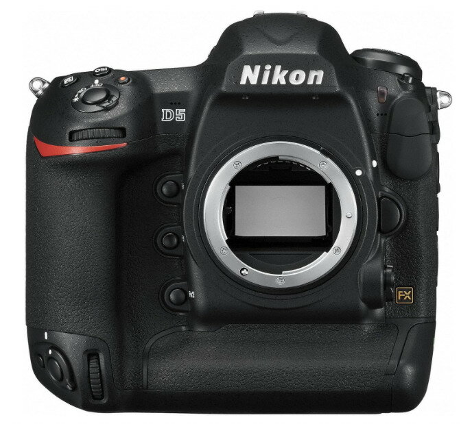 【中古】【1ヶ月保証】 Nikon ニコン D5 CF-Type