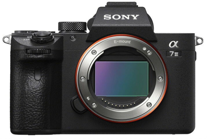 樂天商城 - 【中古】【1ヶ月保証】 ソニー SONY ミラーレス一眼 α7 III ボディ ILCE-7M3 SDカード付属