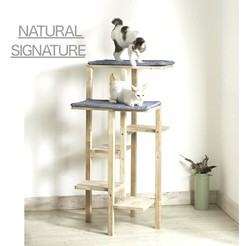 天然木をふんだんに使ったナチュラルシリーズ 木製 ＜組立家具/NATURAL SIGNATURE キャットタワー＞ NATURAL SIGNATURE 生活雑貨 ペット用品 動物用品 猫 玩具