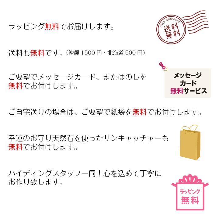 おむつケーキ 出産祝い【オリジナルサンキャッチャープレゼント】おむつバッグ おむつケーキ 出産祝い 送料無料 スヌーピー ディズニー ミッキー ミニー ミニ トートバッグ ハーフバースデー スタイ 良質タオル 男の子 女の子 名前入れ