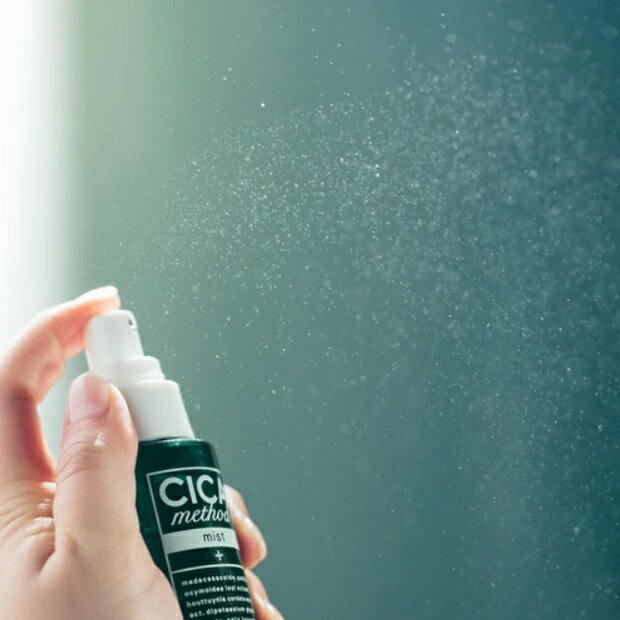 CICA ���� �ĥܥ��������� �ߥ��Ȳ��ѿ� �����᥽�å� �ߥ��� CICA method MIST �����å� ������ �����󥱥� ȩ�Ӥ� �Ҵ�ȩ �˥��� �ݼ�