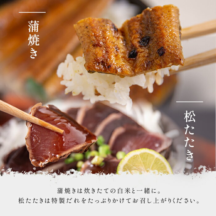 【送料無料】 土佐 松たたき 2本 ・ うなぎ 蒲焼き 1尾 セット 3