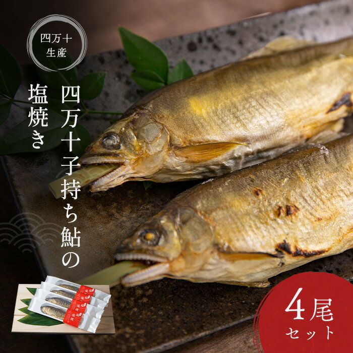 ̵  һ  Ƥ 4 å