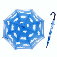 全面青空タイプです。爽やかな青空模様が広がります。