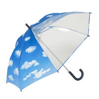 学童ジャンプ傘青空55cm×8本骨【LIEBEN-0380】子供用かさ子供傘キッズ