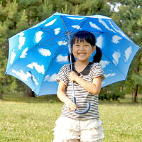 自分だけの青空模様。暗い雨の日でも明るくなります。